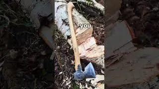 Chopping an awkward limb off a fallen Birch with the Goshawk Wilderness Axe #axe #woodchopping #wood