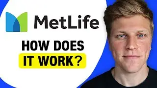 How Does MetLife Pet Insurance Work?