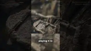 Elden Ring: Skill Issue 😳