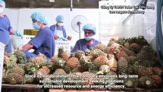UNIDO Eco-Industrial Park Project in Vietnam