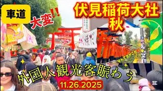 【伏見稲荷大社の秋シーズン2025】外国人観光客サイドの通り道座り込むほど大人気スポット‼️|Fushimi Inari Taisha Autumn season 