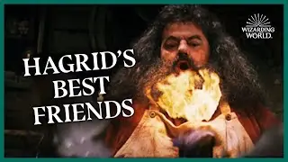 Hagrid's companions - what makes them great? | Wizarding World