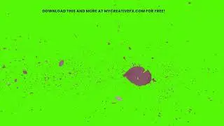 Green Screen Flower falling  Animation