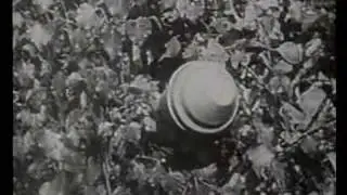 Panzerfaust Anti-Tank Weapon