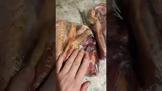 Суповой набор из гуся.