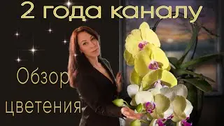 Блогерское ДР🎉Путешествие. Орхидеи цветут
