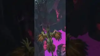 First time using Rock Drake