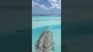 Let&rsquo;s escape to The Cook Islands! 🏝🙌🐠 #shorts #aitutaki #cookislands