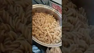 g&aelig;stemad inkl pasta til b&oslash;rn