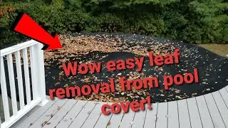 Leaf Net Pool Cover: A Game-Changer for a Clean Pool #pool #summer