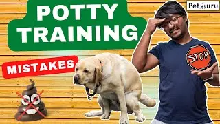 Puppy Potty Training MISTAKES vs. Proven Methods