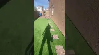 Crystal Clear Turf Protection Film