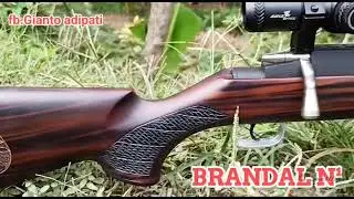 BRANDAL N&sup1; #BRANDALRONGGOLAWE #PCP BIGGAME