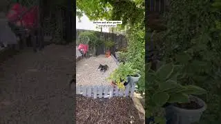 Before and after patio transformation #budgetgardening #diypatio #diylandscaping #gardenhacks