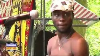 Ba Cissoko - Wawata - LIVE at Afrikafestival Hertme 2010