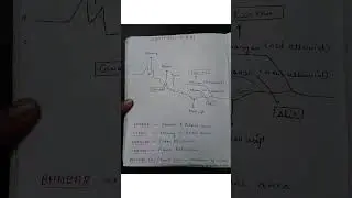 NORTHERN PLAINS-ALLUVIAL SOIL #gktricks #geography #ssc #cgl #chsl #education #upsc #bhangar #khadar