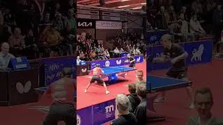 CHAMPIONS LEAGUE BORUSSIA D&Uuml;SSELDORF - TTC NEU-ULM, LIVESTREAM 19.02.23 #tischtennis #tabletennis
