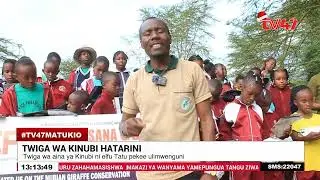 &lrm;Twiga wa Kinubi kwenye hatari ya kutoweka