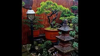 Pagoda Lantern | Japanese Stone Lanterns | Japanese garden Accessory | Home Decor