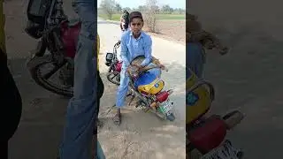 Jackals attack the man | Ghedar ny insan par hamla kia
