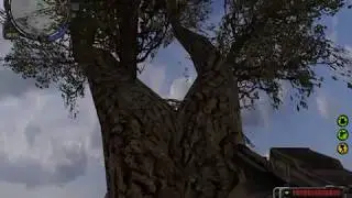 зона примити