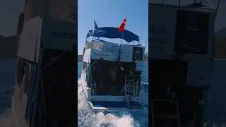 Diving boat trip