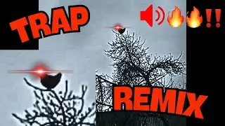 CHICKEN ON TREE - TRAP REMIX! (Prod. by CANVAS)