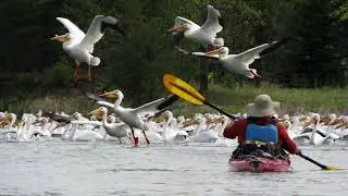 Paddle Pilgrim: Why do I paddle?