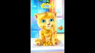 Talking Ginger Cute Cat | Funny Cartoons Video for kids 2017