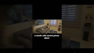 People don&rsquo;t believe Egypt rent until they see this!