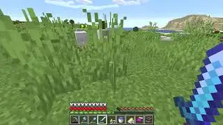 Sunflower Plains has many Sunflowers - Minecraft