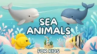 Sea Animals - Learn Sea Animals for Kids - English educational video