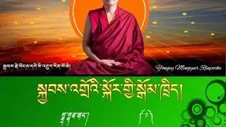སྐྱབས་རྗེ་ཡོངས་དགེ་མི་འགྱུར་རིན་པོ་ཆེ་མཆོག་ནས་སྐྱབས་འགྲོའི་སྐོར་གྱི་སྒོམ་ཁྲིད་གནང་བ།སྒྲ་སྒམ་ཨང་། ༼༡༽