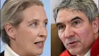 Harbarth BESCHULDIGT Weidel des BETRUGS &mdash; Minuten sp&auml;ter wird er in Karlsruhe GETROFFEN