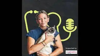🔓Clinical: Feline Anaemia: What You’ve Been Missing — with Dr Rachel Korman
