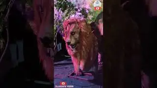 Robotic Animal Exhibition #robotic #animal #exhibition #lion #elephant #parrot #shortsfeed #shorts