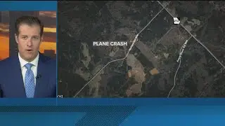 Pilot and dog die in small plane crash in Georgia
