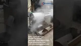Automatic Dates Paste Making Machine with Seeds Separator