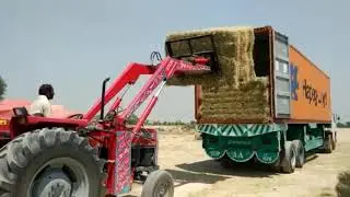 ESS GRO  Rhodes Grass Farm | Rhodes Grass Hay | Rhodes grass In Pakistan.