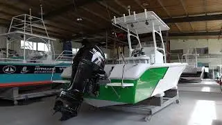 SG720 24ft fiberglass cc sport fishing boat
