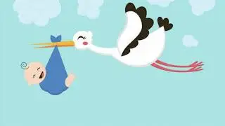 Яйцеклетките - интересни факти