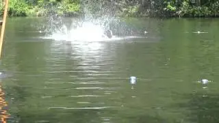 Gainer Flip Cascade Lake, Maryland