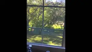 Foxchase Apartments Tour