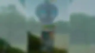 Revoada dos amigos