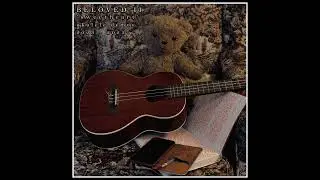 Felix Harber - A Christmas Wish