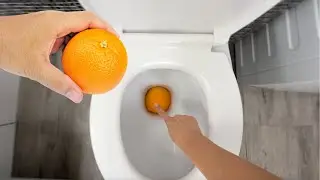 Jetez une ORANGE dans les toilettes et voyez ce qu'il se passe 🍊