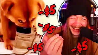 I Can’t Stop Gifting Subs Every Time I Laugh at Unusual Memes