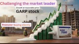 Ye 'FEVICOL' ka Competitor Aapko Ameer Bana Sakta Hai? 🤫 Small Cap with 37% ROE!