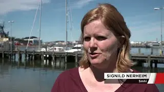 Stigande havsniv&aring;er oroar i Sk&aring;ne - Nyheterna (TV4)