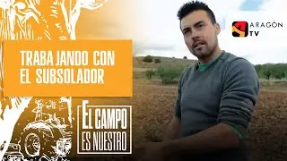 Trabajando con el subsolador